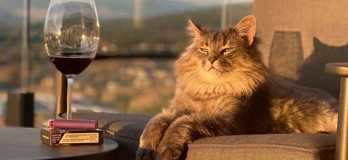 Изысканный джентльмен