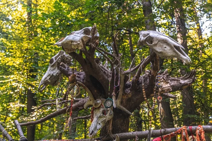 Mysterious place: we publish a photo of a pagan temple with animal skulls - Samara, Paganism, Temple, The photo, Longpost