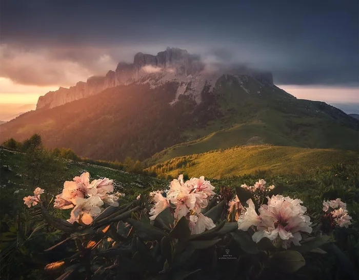 Big Thach, Adygea - The photo, Nature, beauty, The nature of Russia, Russia, Flowers, beauty of nature, Republic of Adygea, Landscape, Big Thach, The mountains