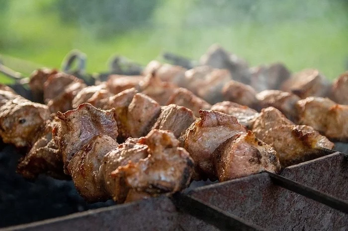 Would you like barbecue too? - Shashlik, Food, Hunger, Vegan, Meat