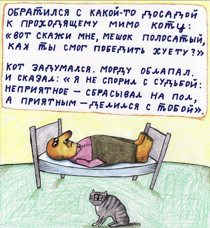 The meaning of life - Pavlik lemtybozh, Mat, Смысл жизни, cat, Poems