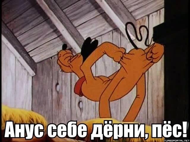 Услышал на стриме папича