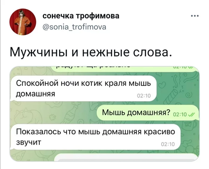 Красивее и не скажешь - Юмор, Скриншот, Twitter, Мужчины, Переписка, Мышь, Спокойной ночи, Ласковые слова