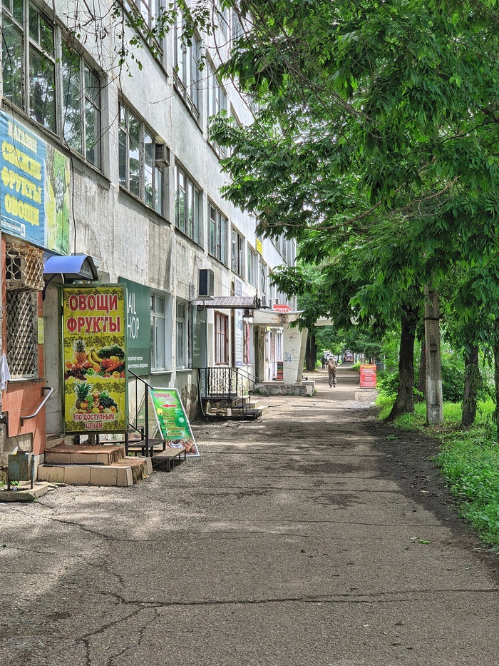 Биробиджан Туристы, Путешествия, Туризм, Поездка, Биробиджан, Еврейская автономная область, Длиннопост Биробиджан Туристы, Путешествия, Туризм, Поездка, Биробиджан, Еврейская автономная область, Длиннопост