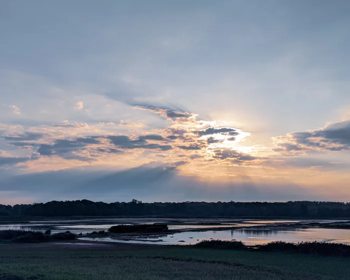 Morning run around Het Vinne - My, The photo, Reserves and sanctuaries, Jogging, Morning, Landscape, Longpost, Belgium, Flanders