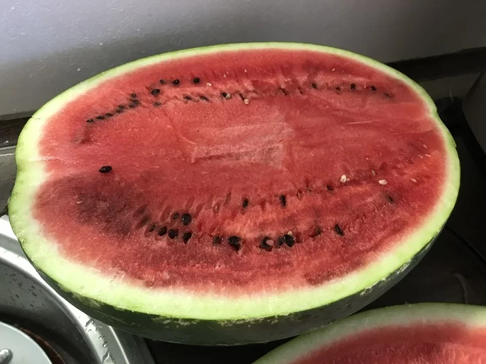 How I unknowingly stole a watermelon - My, Life stories, Stupidity, Watermelon, The airport, Pulkovo, Carelessness, Impudence, Accident