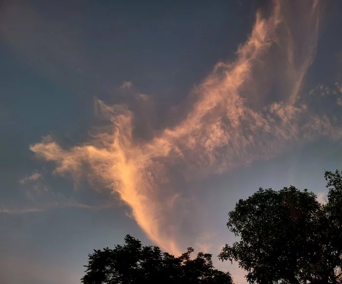 Phoenix - My, Mobile photography, Phoenix, Clouds, Dubai, Courtyard, Pareidolia