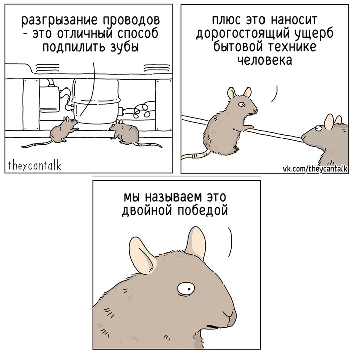 wires - Theycantalk, Web comic, Comics, Translation, Animals, The wire, Mouse