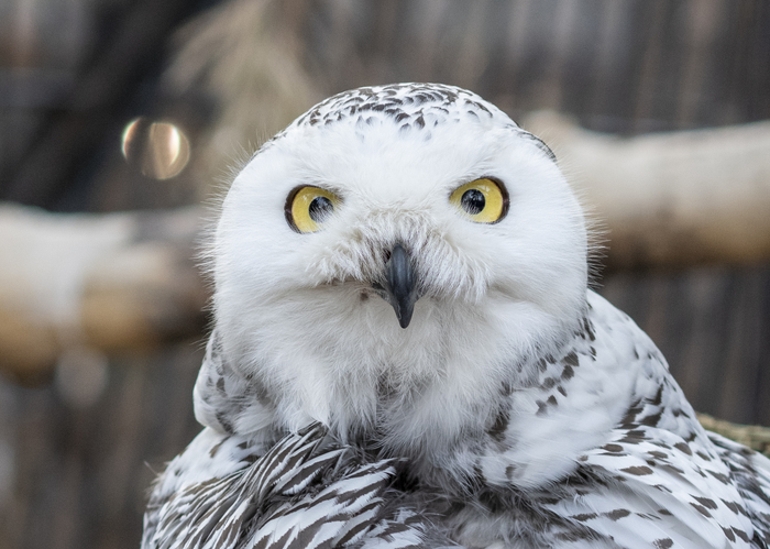 ������������ ����