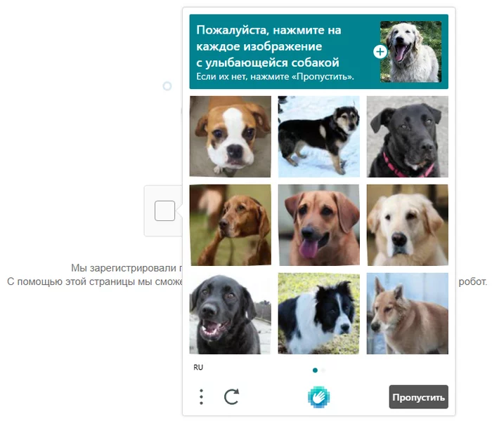 Looks like I'm a robot - My, Internet, Artificial Intelligence, Captcha, Dog