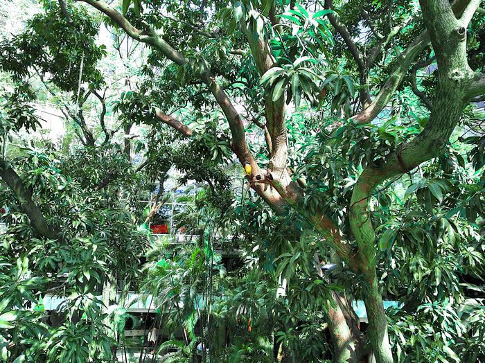 Парагвай. Так ли плохо живут в одной из беднейших стран Южной Америки? Туризм, Путешествия, Жизнь за границей, Южная Америка, Латинская Америка, Парагвай, Длиннопост Парагвай. Так ли плохо живут в одной из беднейших стран Южной Америки? Туризм, Путешествия, Жизнь за границей, Южная Америка, Латинская Америка, Парагвай, Длиннопост