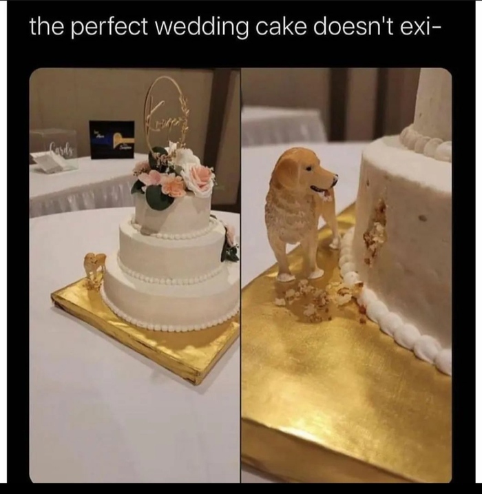    , , , , 