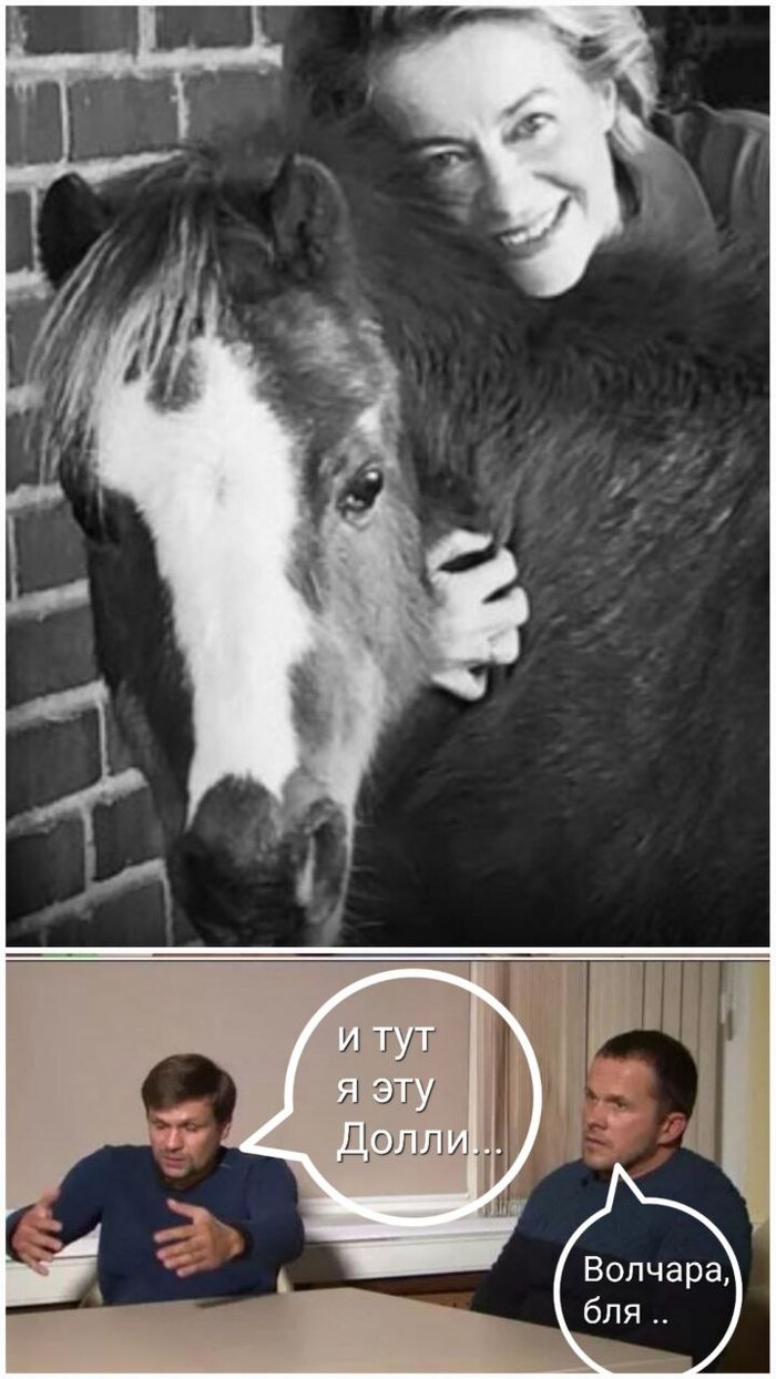 ���� ������ ������� ���� ������ ��� ��� ����� �� ������ ����� - ���������� ������