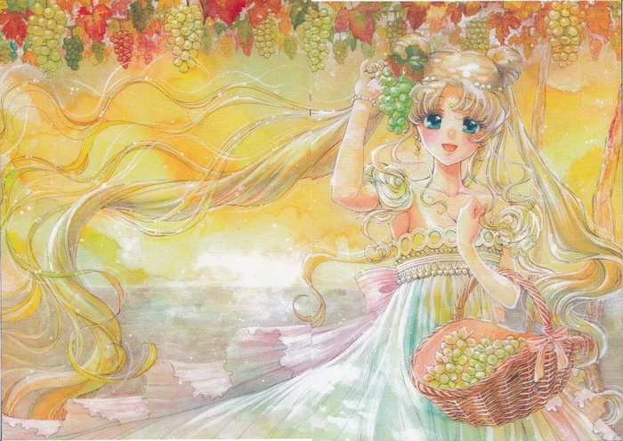 Vineyard? - Sailor Moon, Princess Serenity, Anime, Anime art