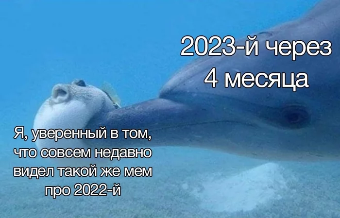 Время - Юмор, Картинка с текстом, Мемы, 2023, Рыба фугу, Дельфин, Время