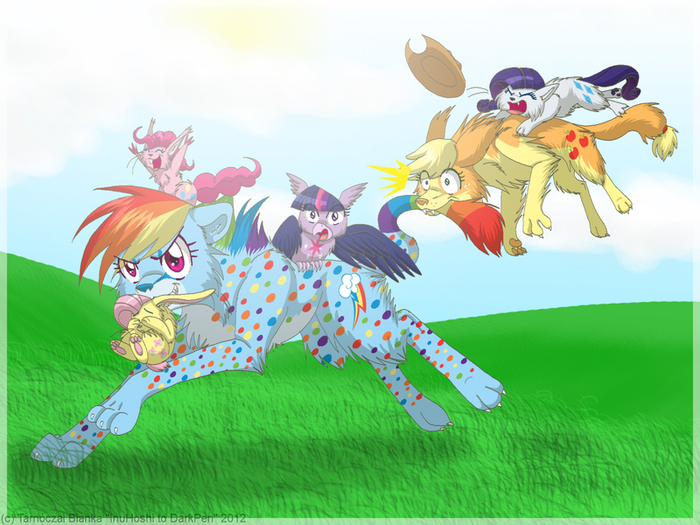   My Little Pony, Rainbow Dash, Twilight Sparkle, Rarity, Fluttershy, Applejack, Pinkie Pie, , , , ,  , 