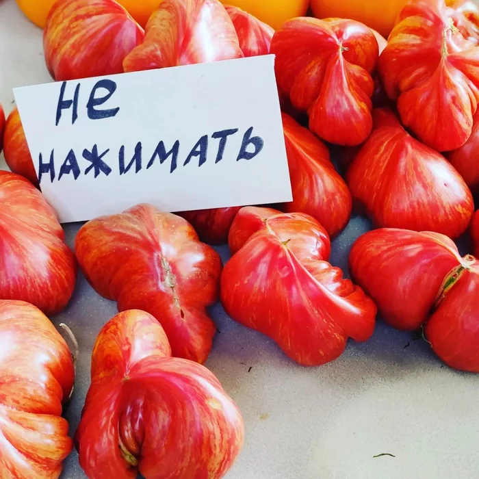 Masseur? - Announcement, Pressure, Tomatoes, Pareidolia