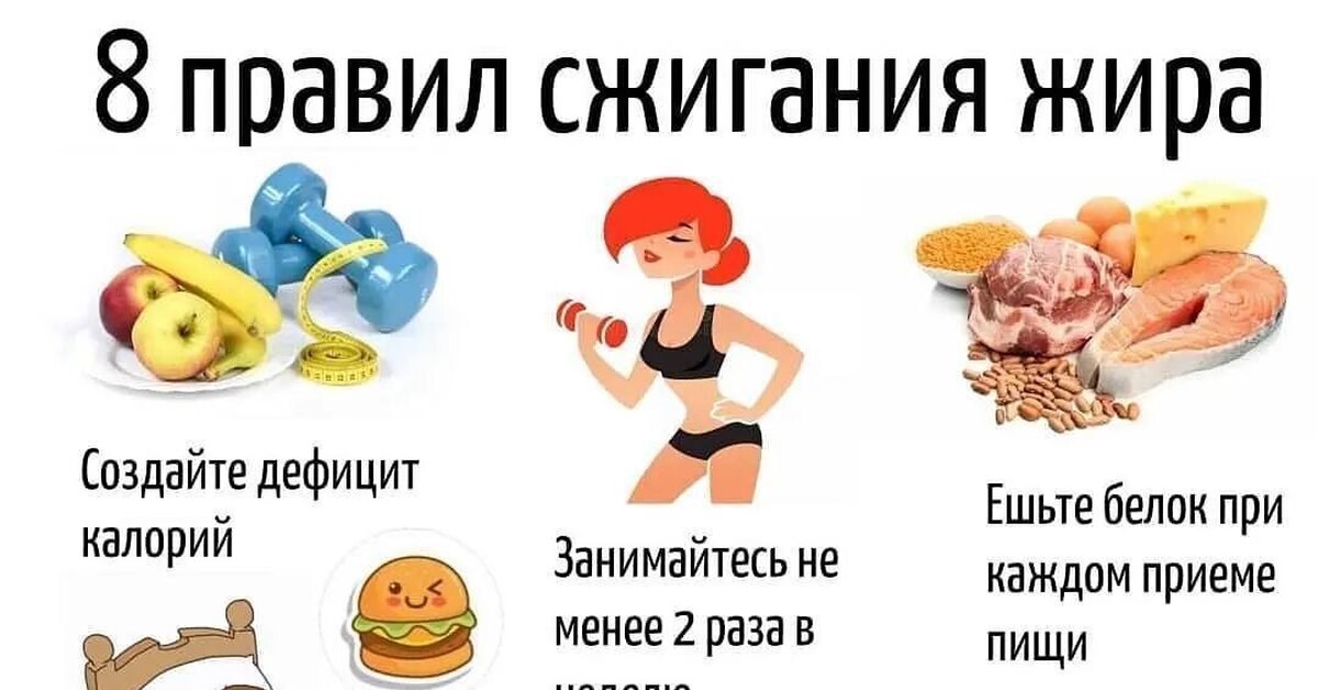 8 правил сжигания жира | Пикабу