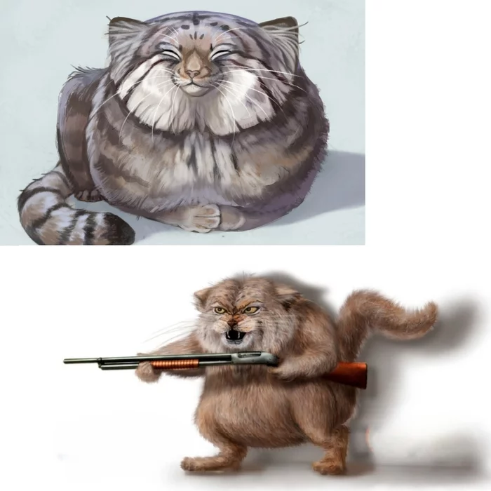 Blue dream VS cruel reality - Pallas' cat, Pet the cat, Small cats, Cat family, Art, Predatory animals