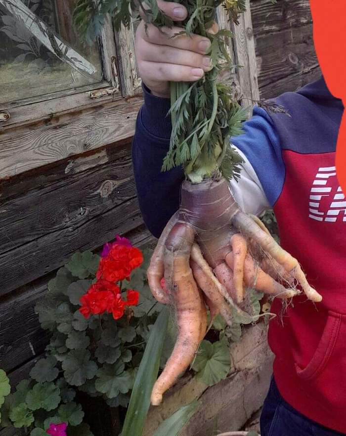      , 