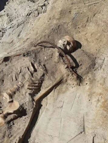 Grave of a vampire from the 17th century - Poland, Vampires, Archeology, Grave, Excavations, Longpost