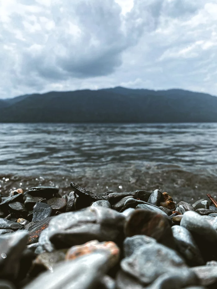 On the shore - My, The photo, Altai Republic, Mobile photography, Teletskoe lake