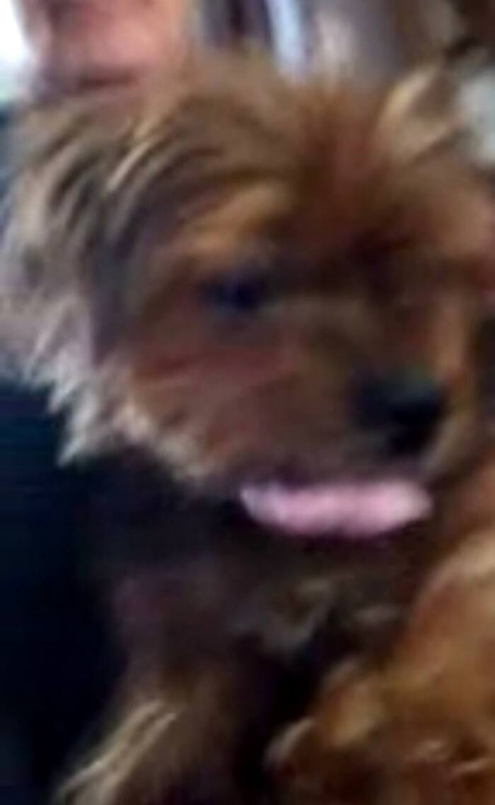       .  ,  .      ,  , -,  ,  ,   , 