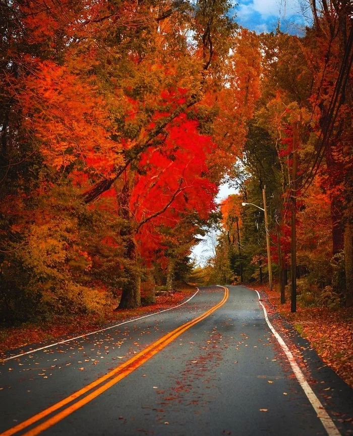 Massachusetts - The photo, beauty, Nature, Autumn, Forest, Road, USA, beauty of nature, Massachusetts