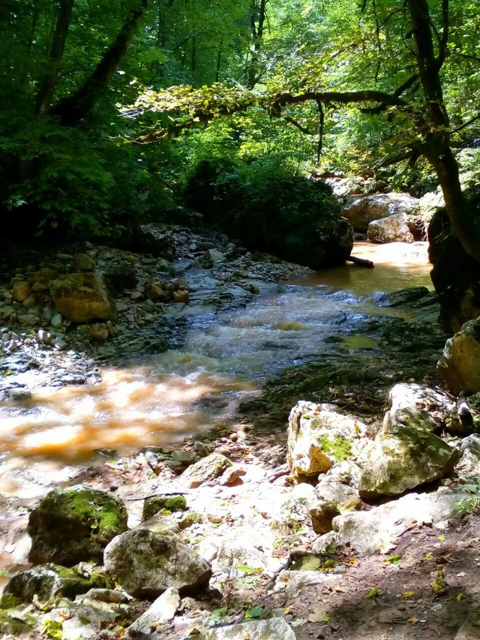 Journey to Adygea. Rufabgo waterfalls - My, Travels, Travel across Russia, Waterfall, Rufabgo Falls, Longpost, Republic of Adygea