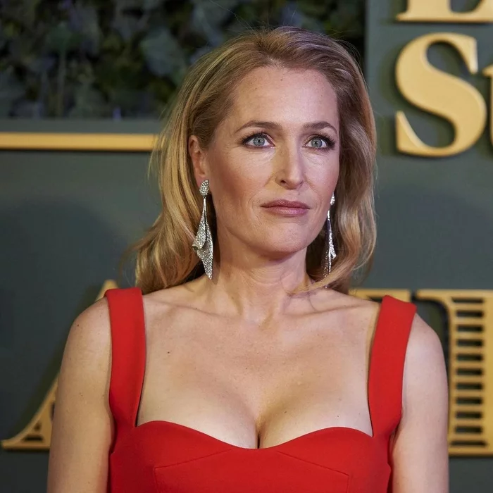 Gillian Anderson - Girls, The photo, Neckline, Good body, The dress, Actors and actresses, Gillian Anderson