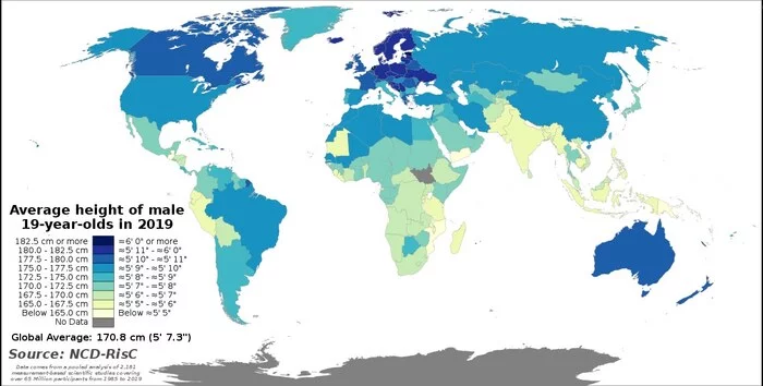 Average height of men and women by country in 2019. (at the age of 19) - Peace, Statistics, Research, The science, Cards, Growth, Entertaining cartography, Country, Longpost, Changes