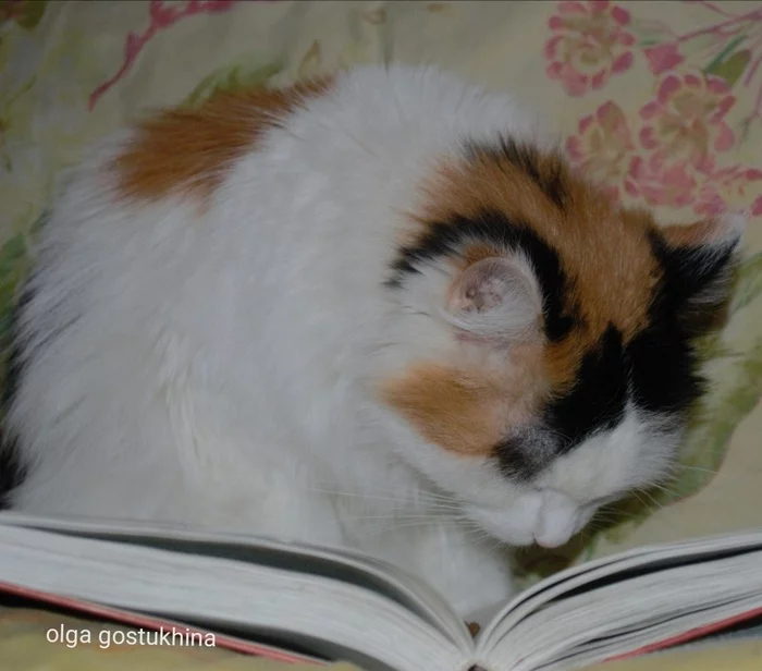 ��� ������� �����, �� �������� ����...