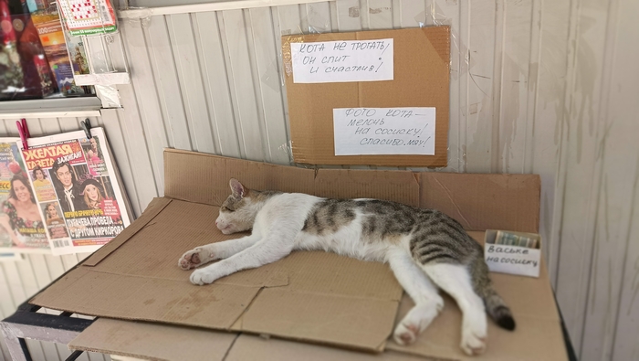 �������� � ���������