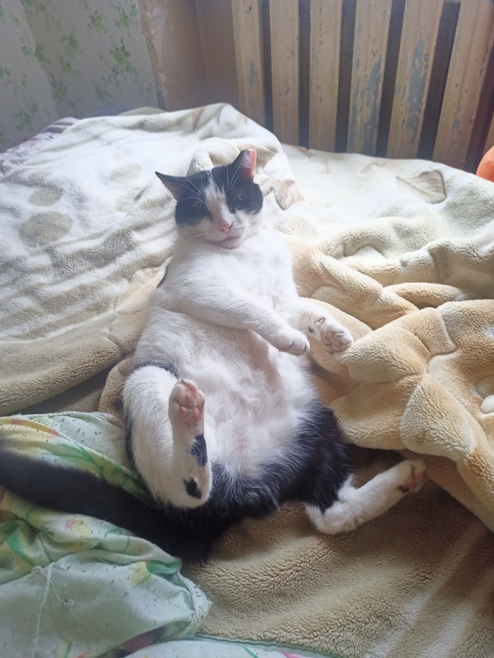   , -,  , ,  