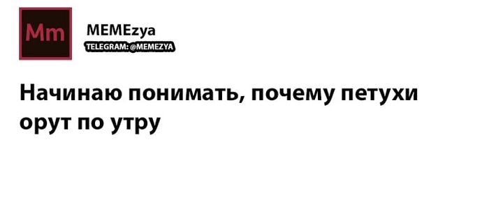        , , ,  , Telegram