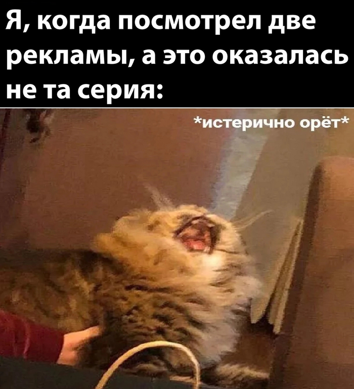 Жиза