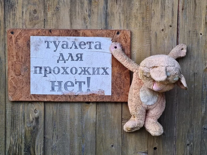 Плюшевый зверь подтверждает - Моё, Туалет, Объявление, Жкх-Арт, Мягкая игрушка, Туалетный юмор