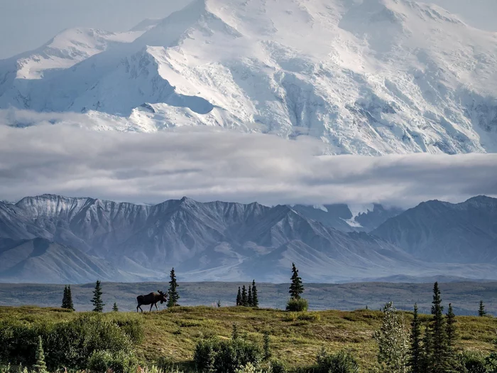 Mount Denali, Alaska - Nature, beauty of nature, The photo, USA, The mountains