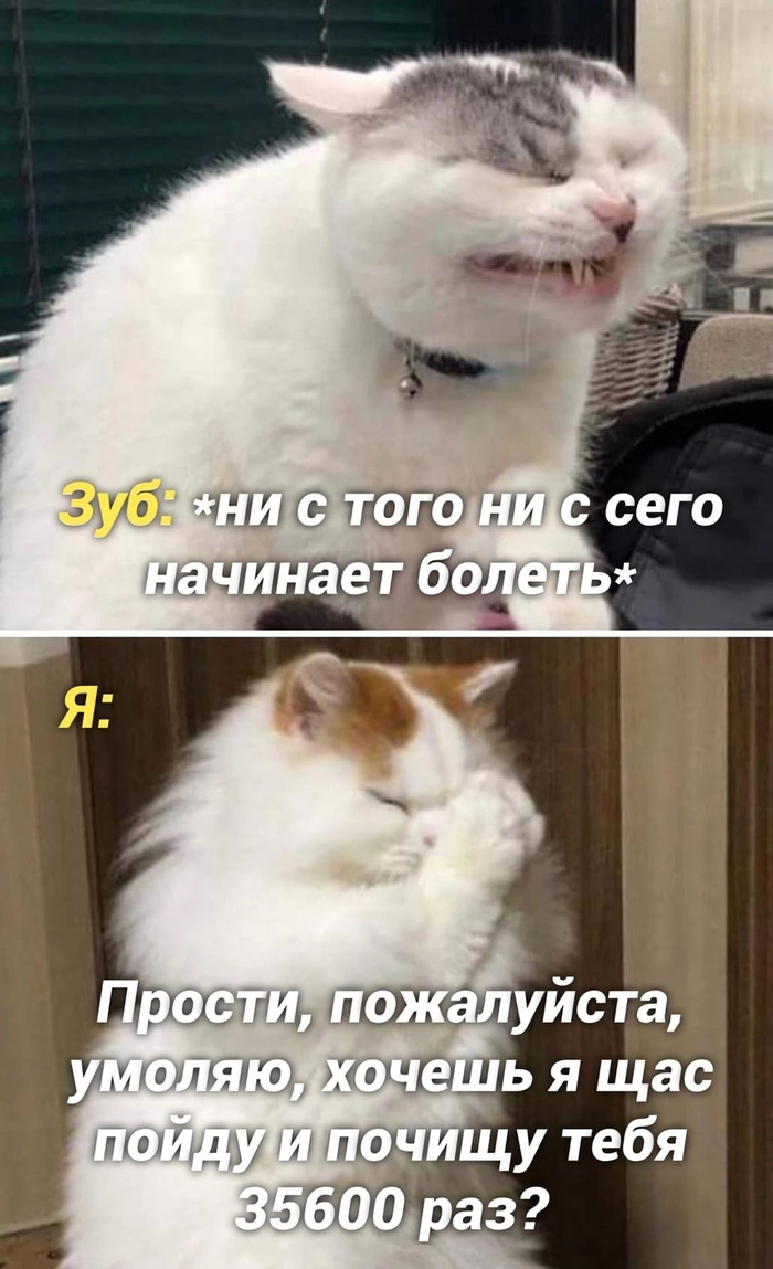 ����� ������ �� ������ ������