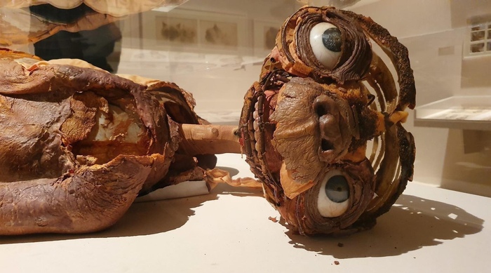 Останки аниматронного инопланетянина (1982)