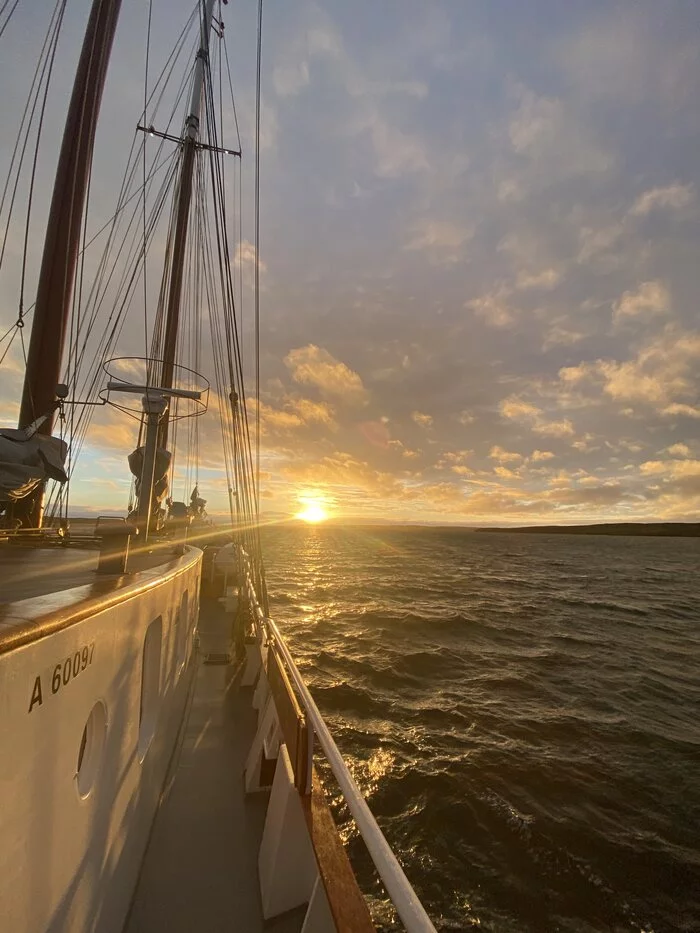 O. Vaygach and South Island (Novaya Zemlya) on the schooner Amazone - My, North, Vaygach, New earth, Novaya Zemlya Archipelago, Schooner, Longpost, Polar bear