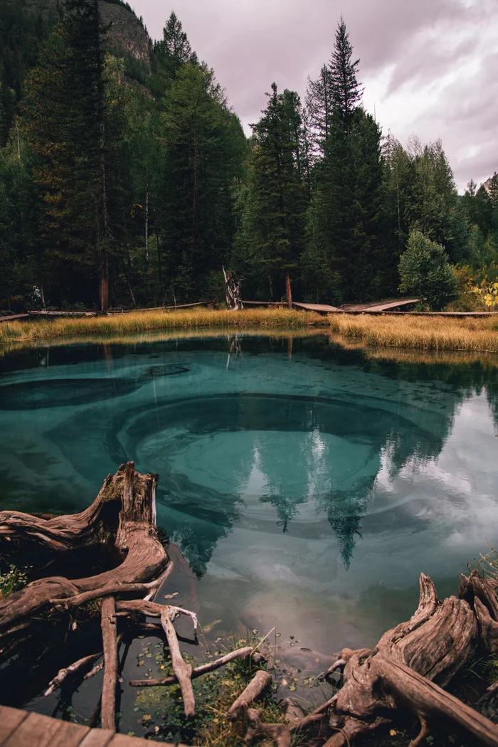 Geyser lake. Mountain Altai - Geyser Lake, Altai Republic, The nature of Russia, The photo, Thermal springs, Ulagansky district