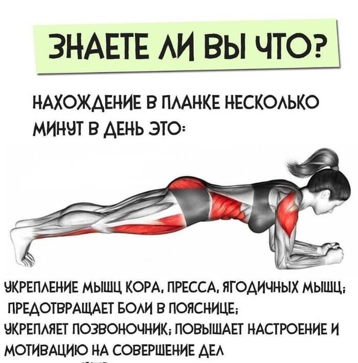 Тренировка пресса в домашних условиях! | Пикабу