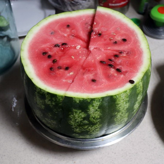 Ural melons - My, Ural, Garden, Garden, Watermelon, Melon, Harvest, Yekaterinburg, Longpost, The photo