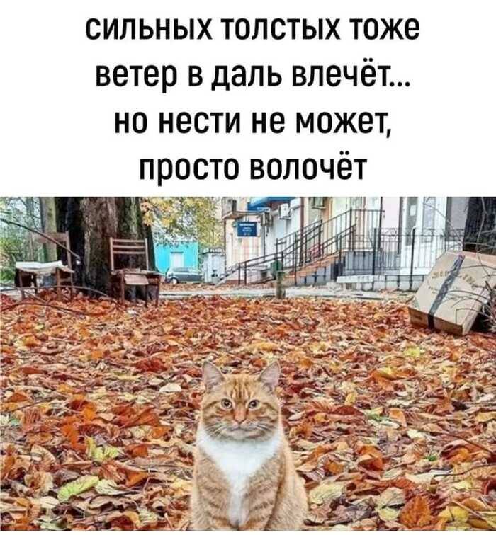 а за окошком ветер вюжет