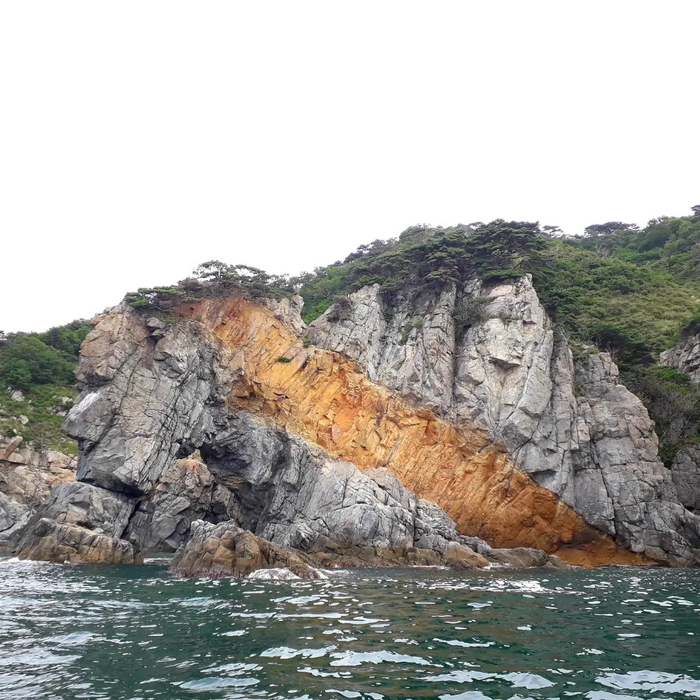 Дракон целует черепаху