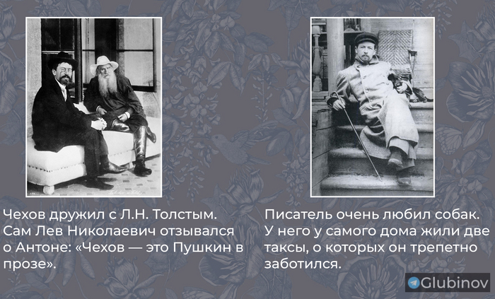 Интересные факты о Чехове | Пикабу