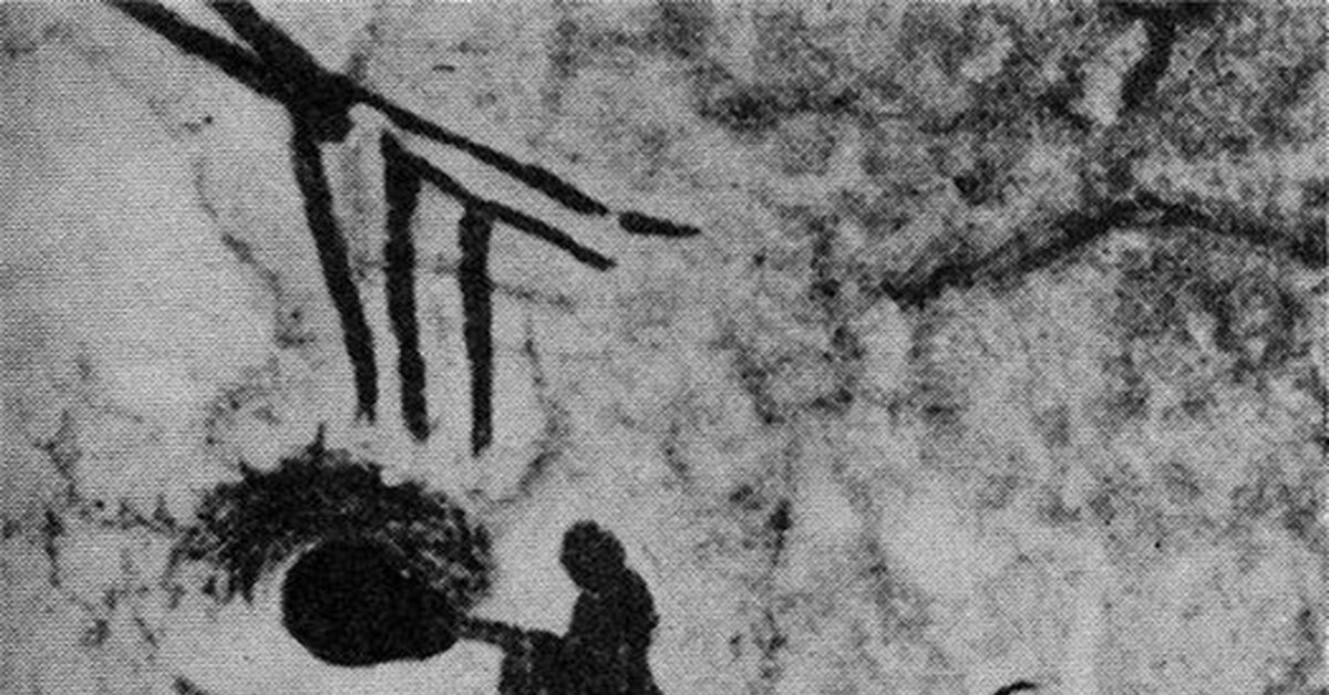 Сборщица меда из улья, окруженная роем пчел. Испания. Мезолит | Пикабу