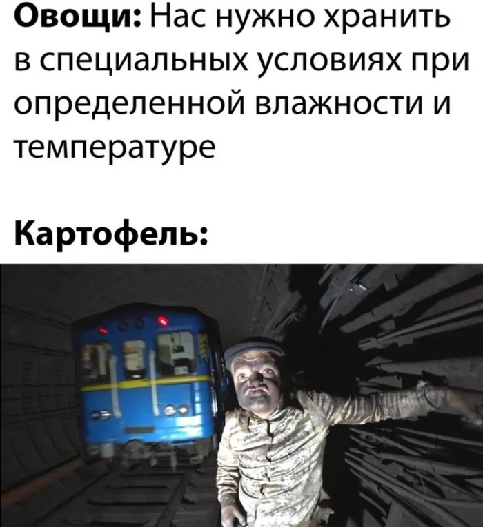 Vegetable carrier)) - Vegetable base, Metro, Bad humor, Picture with text