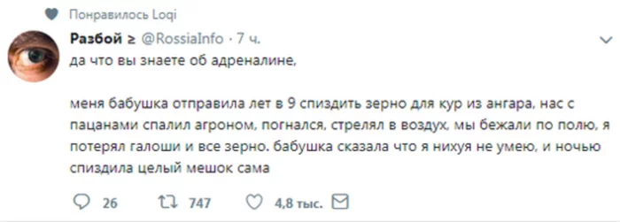 Бабка-терминатор - Скриншот, Twitter, Суровость, Юмор, Из сети, Повтор